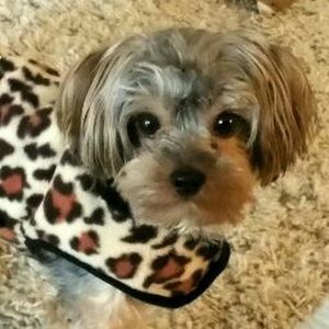 Meet your Posher, Jennifer